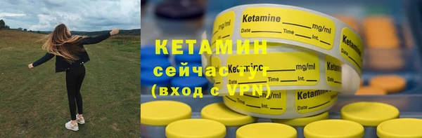 дживик Касимов