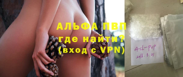 дживик Касимов