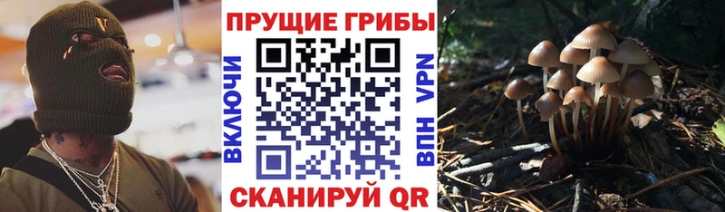 Галлюциногенные грибы мицелий  Купить закладки  Симферополь 